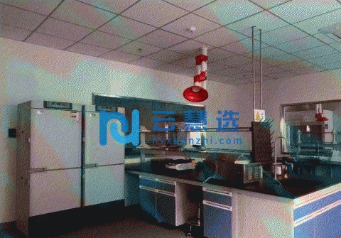 上海浦东精装实验室100平，GMP车间CRO,CDMO