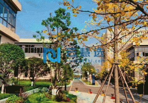 成都双流区1000平米厂房租售房租补贴 政府扶持 排水排污方便 面积灵活