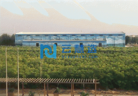 衡水故城县2000平米厂房出售 配套齐全 可代办