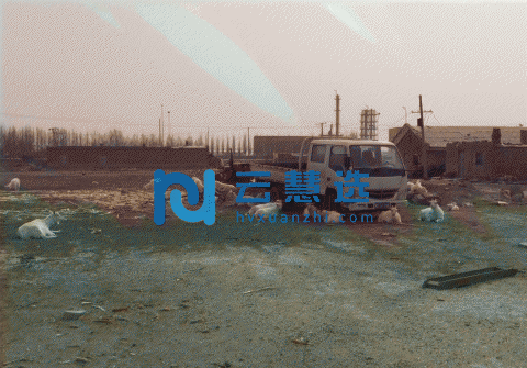 肇东经济开发区 厂房出售 五排厂房 位置好 空间大