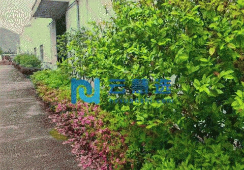 出租花园式厂房面积3600平方 配套齐全