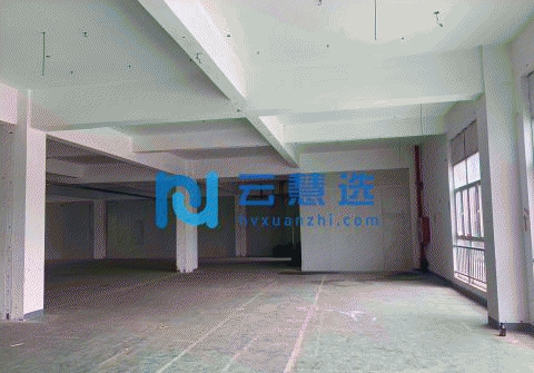 松江新桥园区独栋高层940平厂房出租