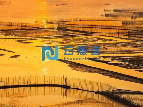 宁波南部滨海新区