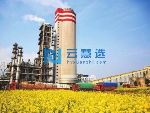 安徽临泉庐阳现代产业园