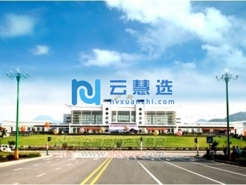 安徽池州站前区