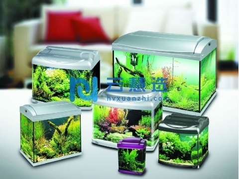 广东饶平县省级产业转移工业园