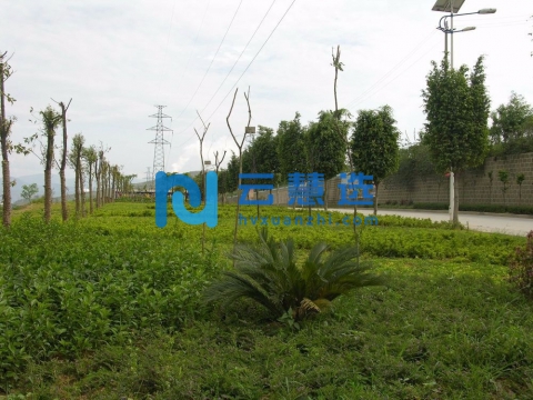 攀枝花钒钛高新技术产业开发区