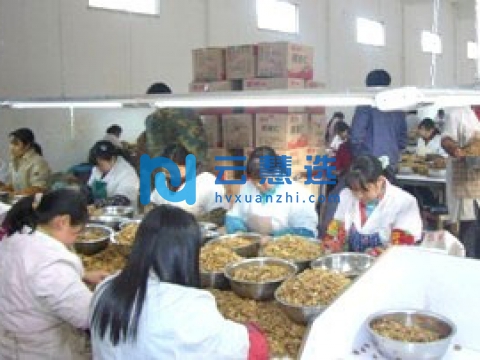 广元市朝天区工业集中区