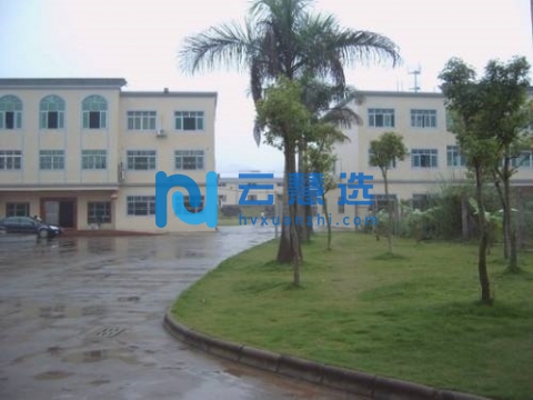 紫金经济开发区