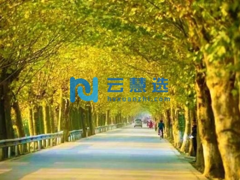 成都海峡两岸科技产业开发园