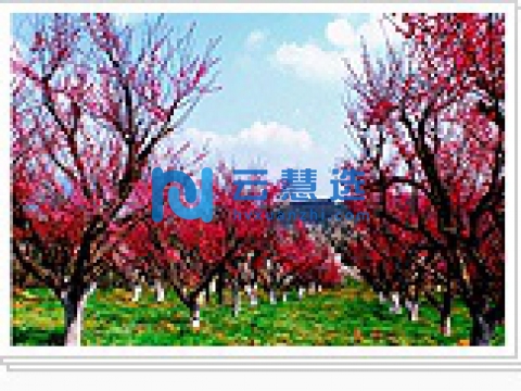 长兴经济技术开发区