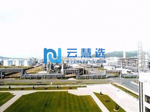 武汉化学工业区