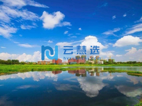 青岛国际经济合作区