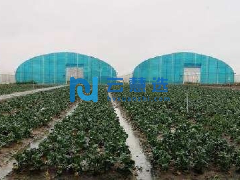 彭阳县王洼产业园区