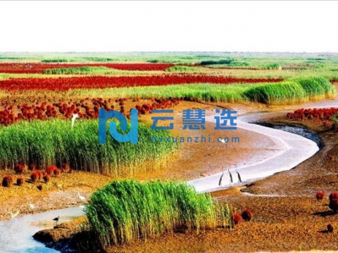 黄河三角洲农业高新技术产业示范区