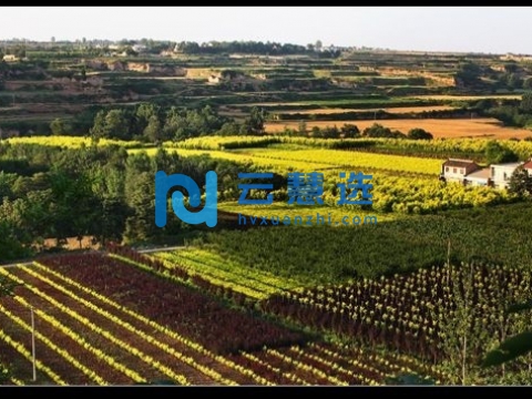 杨凌农业高新技术产业示范区